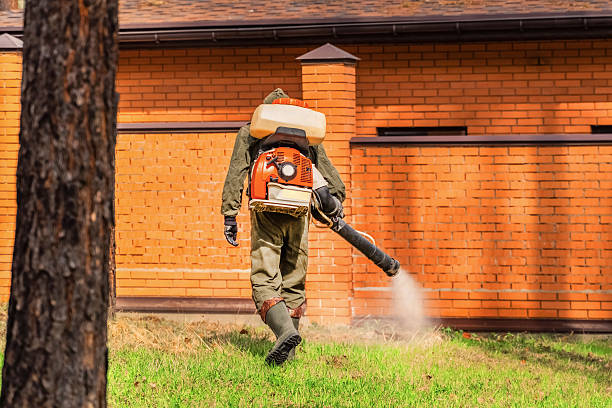Bed Bug Clearance Verification and Documentation in Summerville